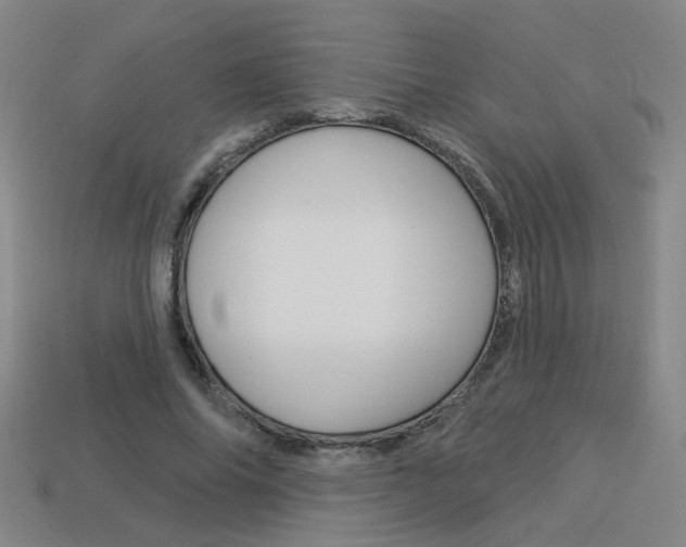 X0000113980686200910020949