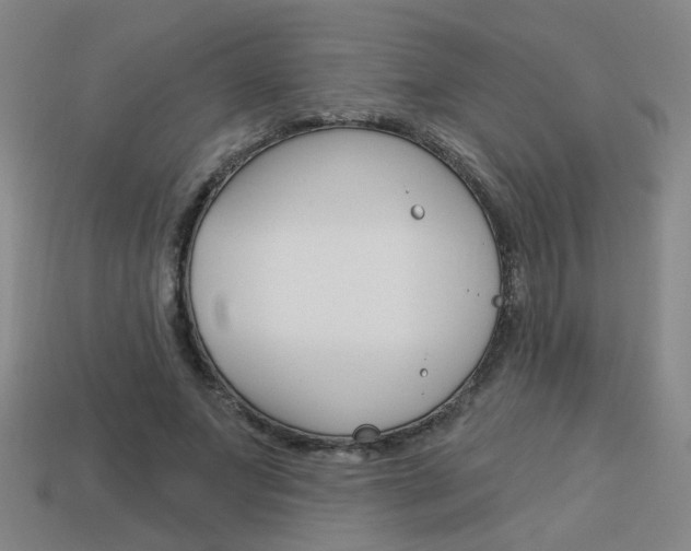 X0000113980687200910020949