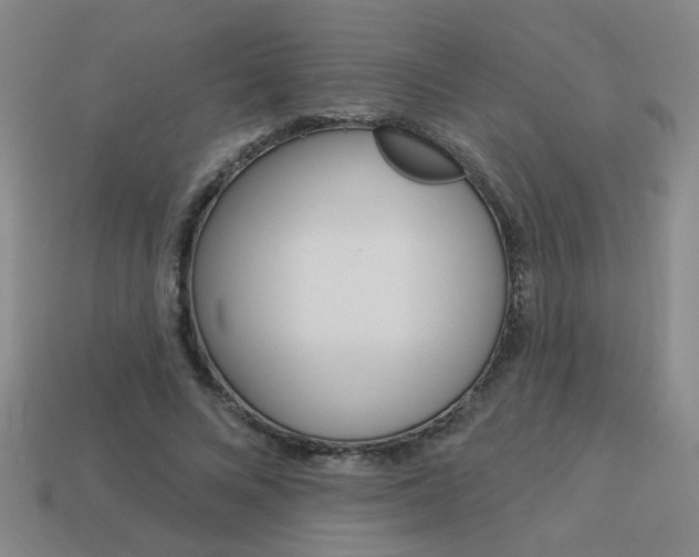 X0000113980688200910020949
