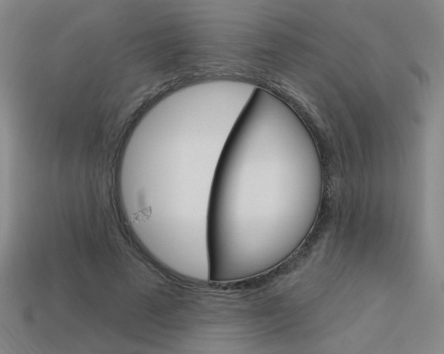 X0000113980689200910020949