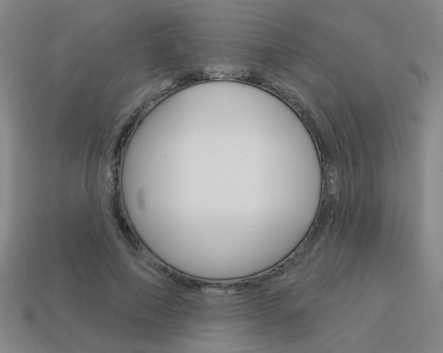 X0000113980690200910020949