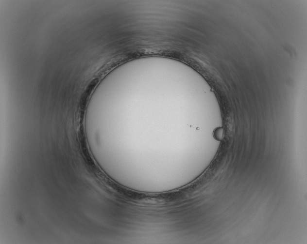 X0000113980691200910020949