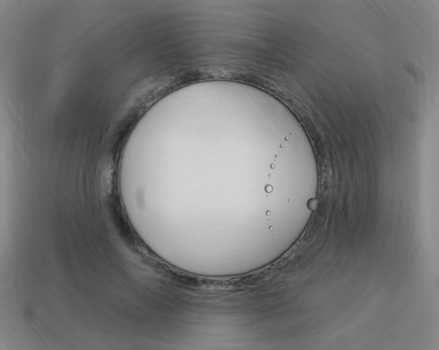 X0000113980694200910020949