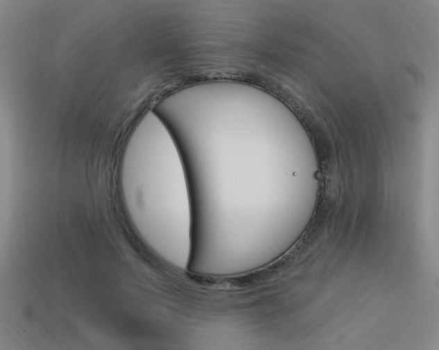 X0000113980695200910020949