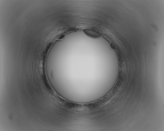 X0000113980696200910020949