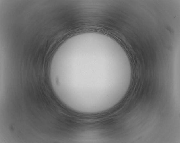 X0000113980701200910020949