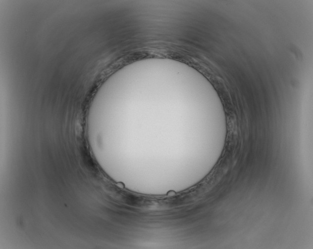 X0000113980702200910020949