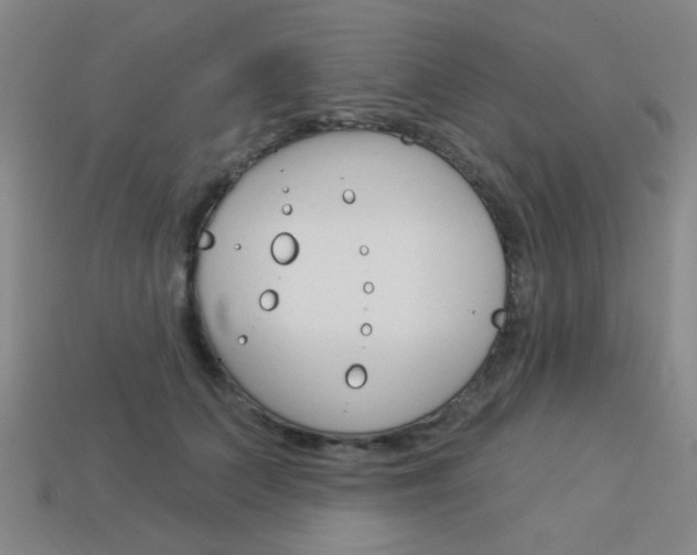 X0000113980703200910020949