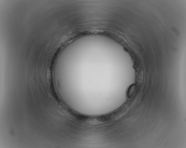 X0000113980704200910020949