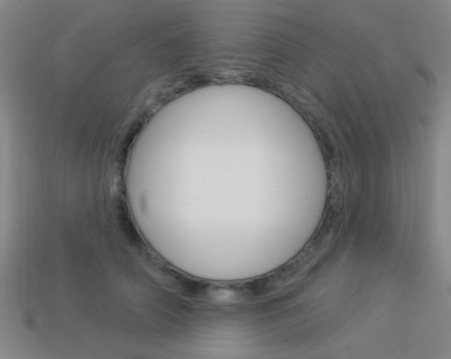 X0000113980706200910020949