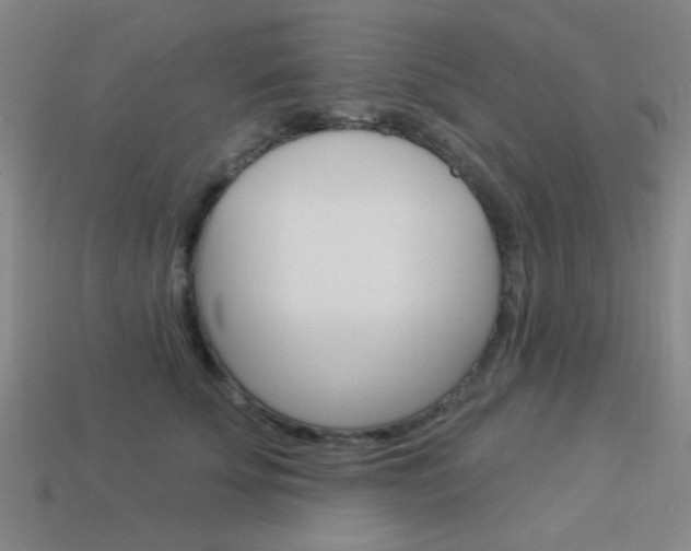 X0000113980707200910020949