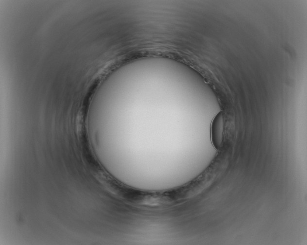 X0000113980708200910020949