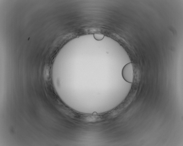 X0000113980709200910020949