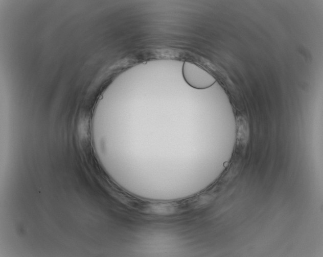 X0000113980713200910020949