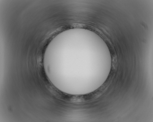 X0000113980714200910020949