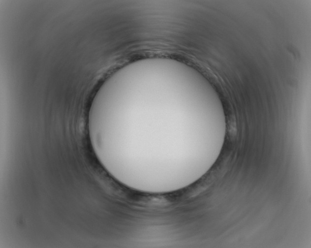 X0000113980715200910020949
