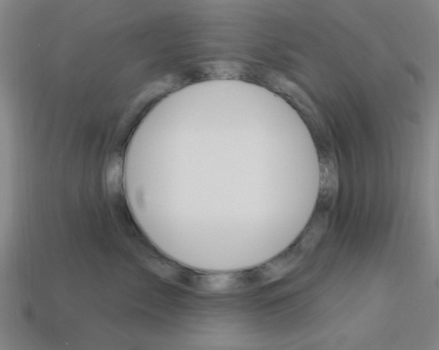 X0000113980717200910020949