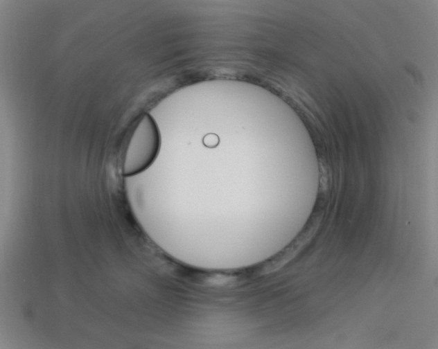 X0000113980718200910020949