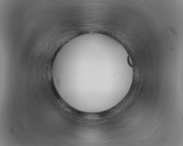 X0000113980719200910020949