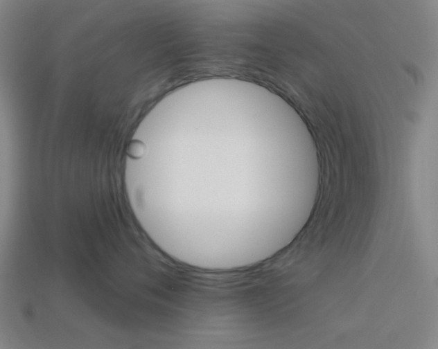 X0000113980720200910020949