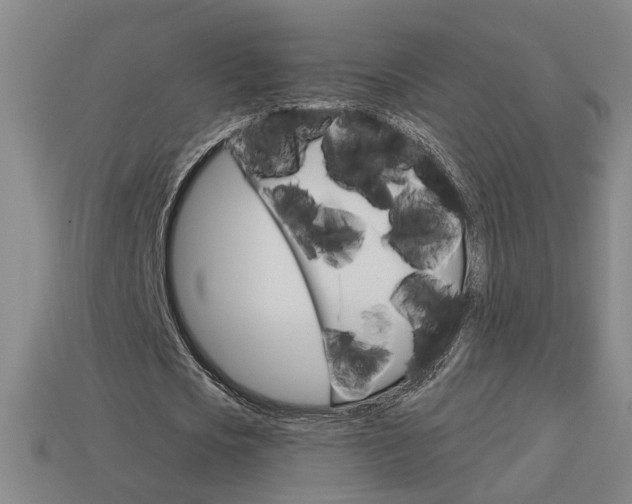 X0000113980721200910020948