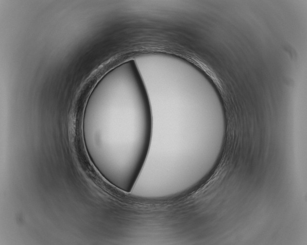 X0000113980722200910020948