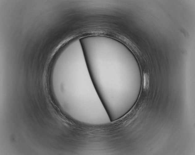 X0000113980723200910020948