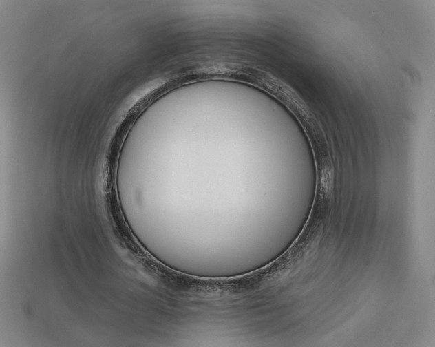 X0000113980724200910020948