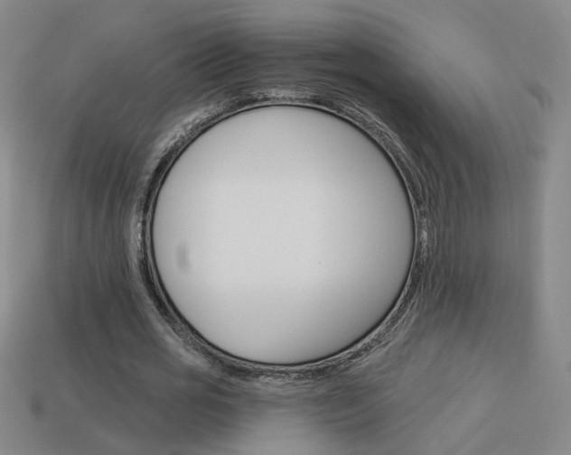 X0000113980725200910020948