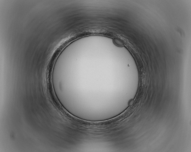 X0000113980727200910020948