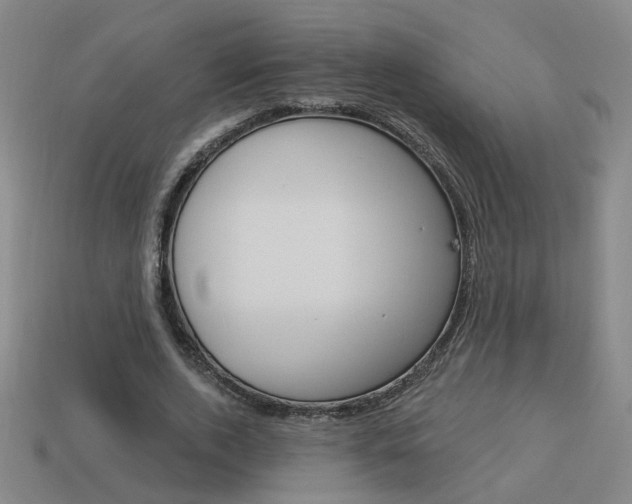 X0000113980728200910020948