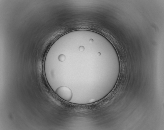 X0000113980729200910020948