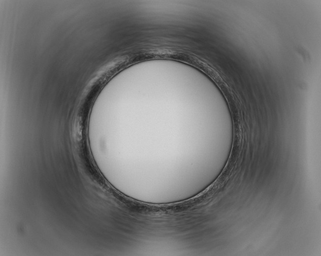 X0000113980731200910020948