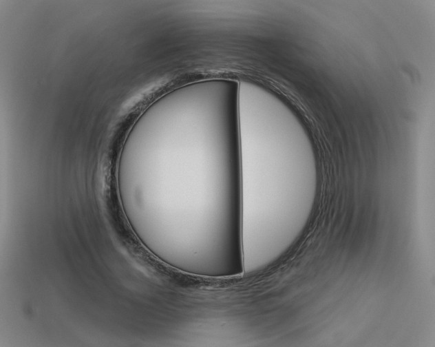 X0000113980732200910020948