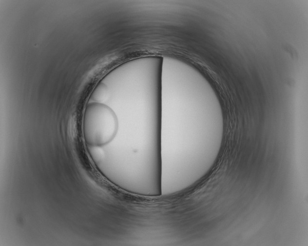 X0000113980734200910020948