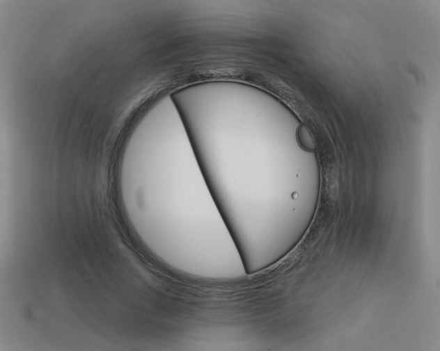 X0000113980735200910020948