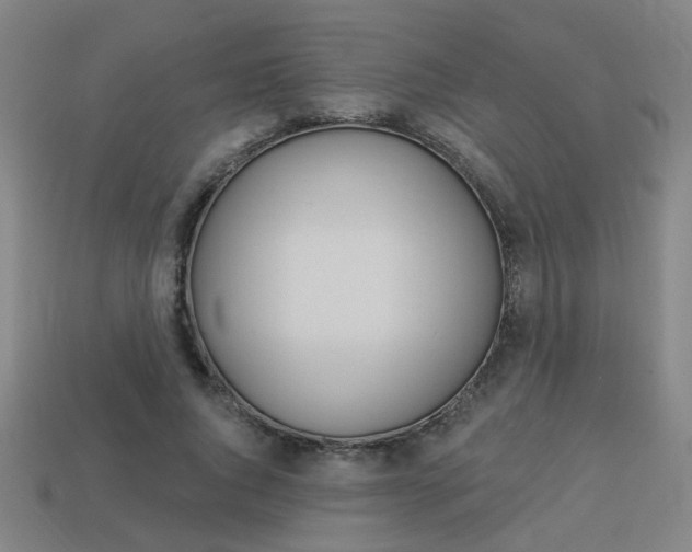 X0000113980736200910020948