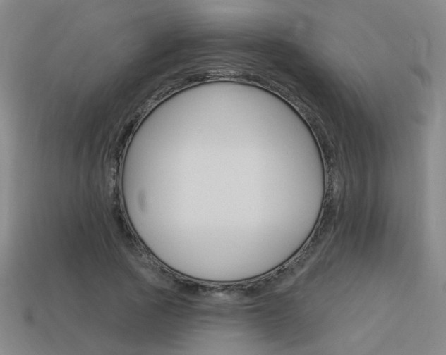 X0000113980737200910020948