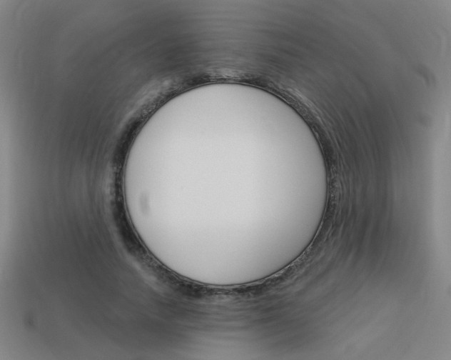 X0000113980738200910020948