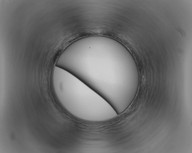 X0000113980739200910020948