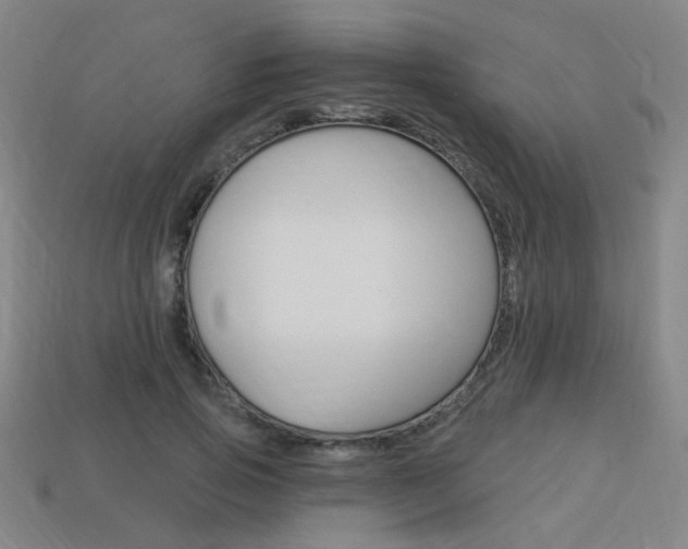 X0000113980741200910020948
