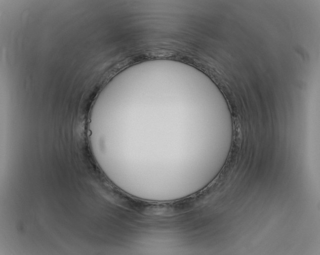 X0000113980745200910020948