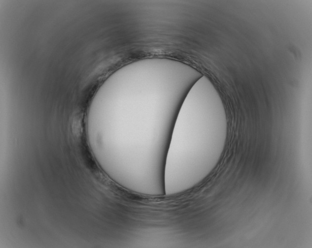 X0000113980746200910020948