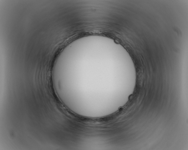 X0000113980747200910020948