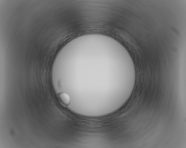X0000113980748200910020948