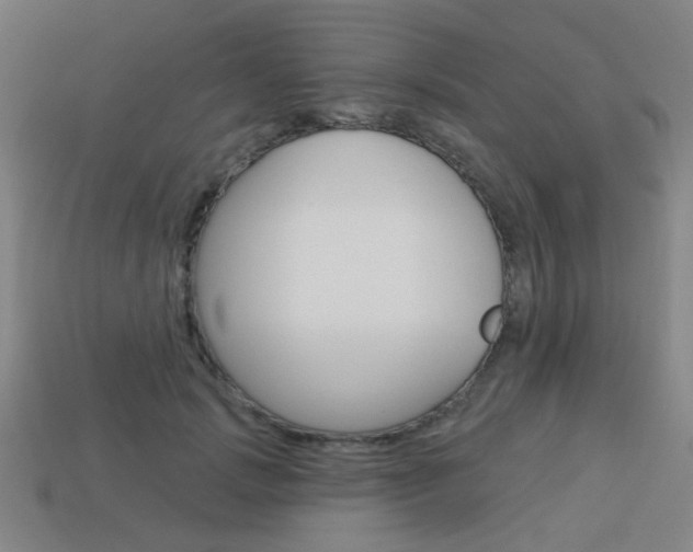 X0000113980749200910020948