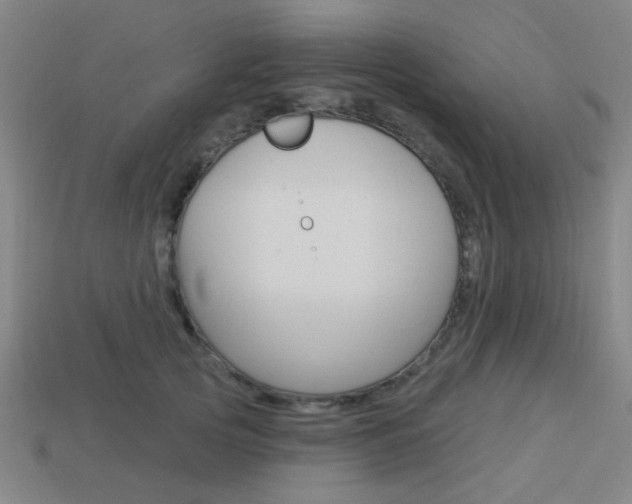 X0000113980753200910020949