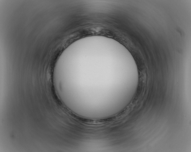 X0000113980754200910020949