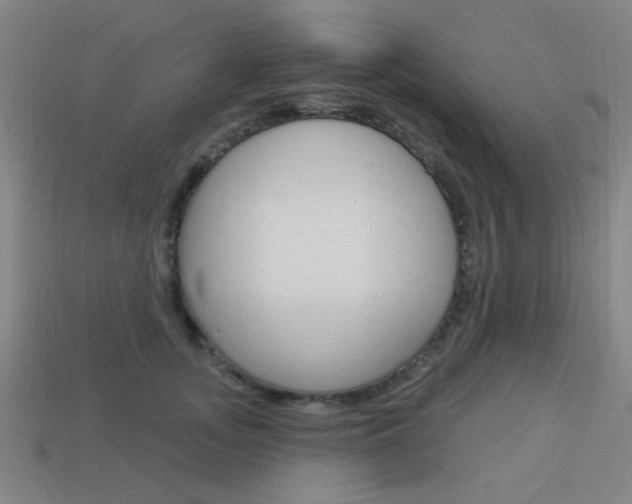 X0000113980755200910020949