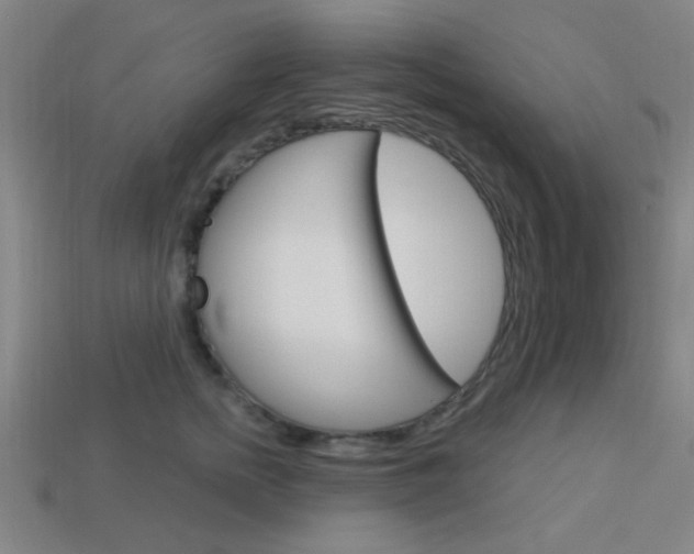 X0000113980758200910020949
